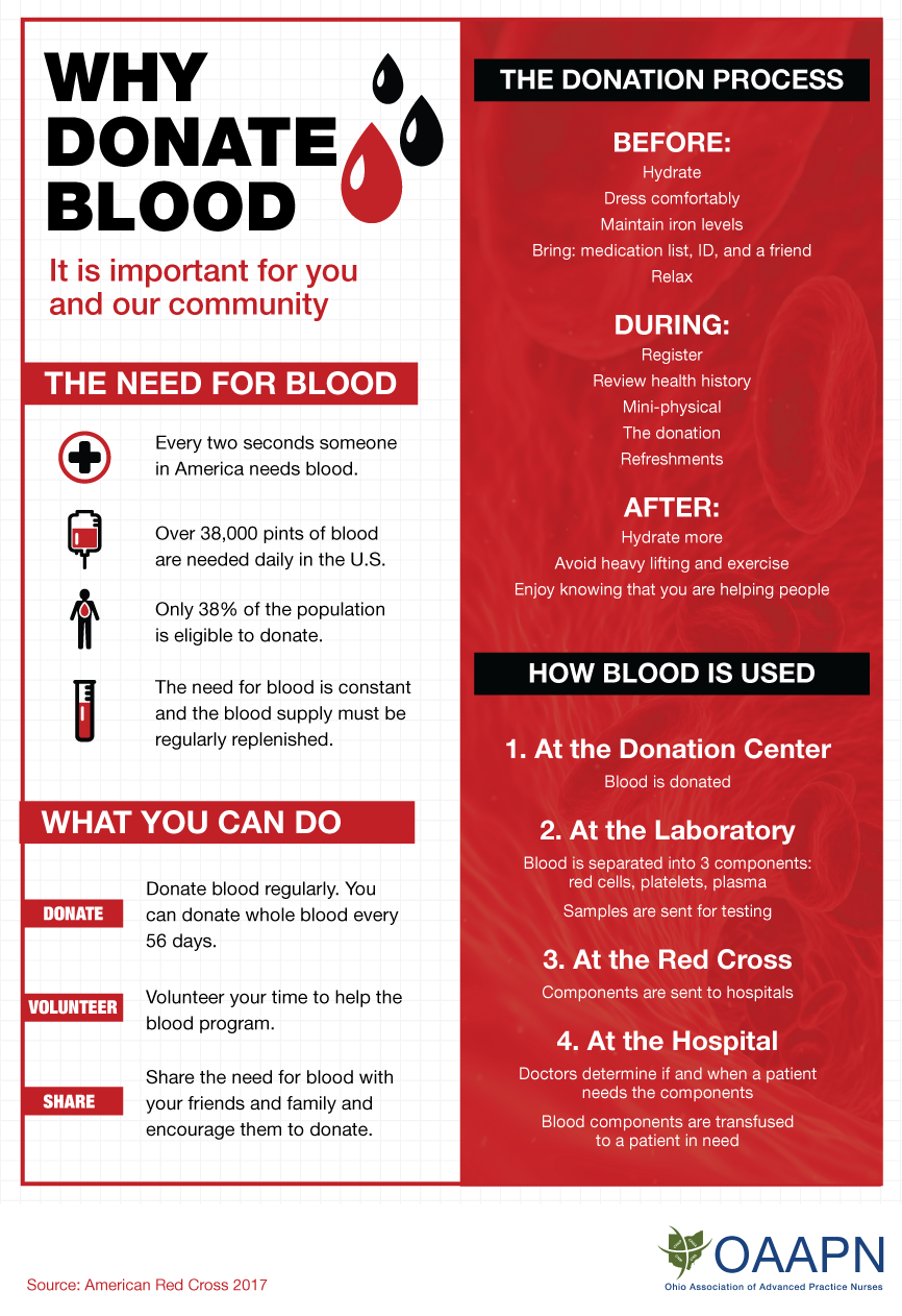 Donate Blood Infographic